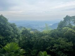 -莫干山风景区
