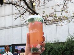 -鸡鸣赐茶(鸡鸣寺路店)