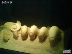 -亚龙湾中心广场·贝壳馆