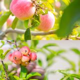 延庆里炮村｜北京秋日的周末乡村游