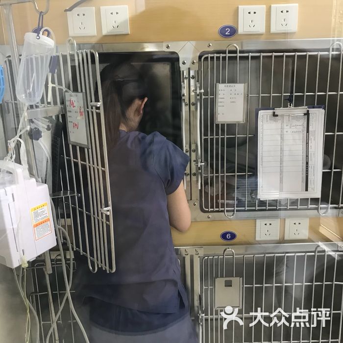 睿诣宠物医院