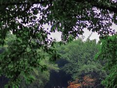 -棠湖公园