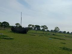 -上海都市菜园
