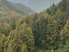 -山王坪喀斯特国家生态公园