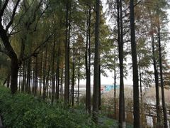 -苏州太湖湖滨国家湿地公园