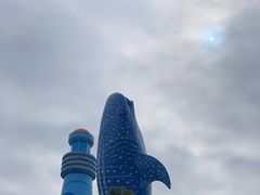 -珠海长隆海洋王国