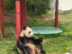 -杭州野生动物世界
