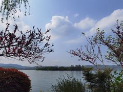 -浙江西子宾馆·瑶园咖啡厅