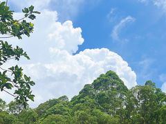 -水濂山森林公园