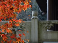 -虎跑公园