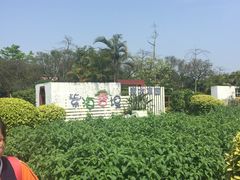-广东花都香草世界旅游度假区
