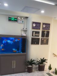 -海涛医疗美容·面部抗衰·注射美鼻