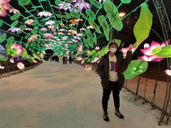 -沈阳奥体冰雪嘉年华