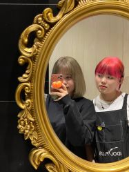-IDOL-PLUS