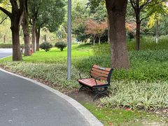 -昆山城市生态森林公园