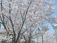 -上海市第十人民医院(总院)