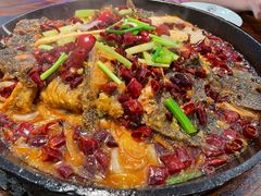 -老板恋上鱼(印象城店)