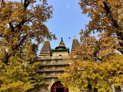 -北京石刻艺术博物馆(五塔寺)