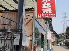-金科花卉市场