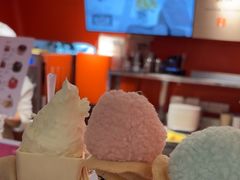 -野人先生现做冰淇淋(北京王府井东方新天地店)