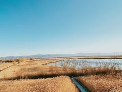 -野鸭湖国家湿地公园