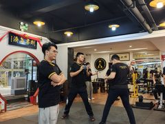 -温鉴良实用咏春拳