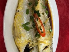-蛇口康乐快餐鱼仔档(翠苑小区店)