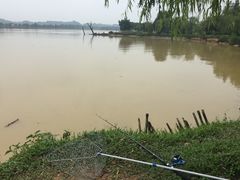 -鹤之洲湿地公园