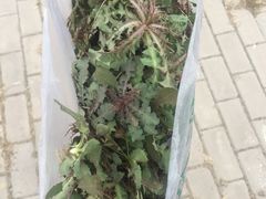 -福缘烤肉王自助(爱琴海-原比尔森店)