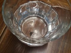 -VESH COFFEE(定西路店)