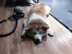 -YCHL Studios健身工作室(市二宫店)