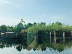 -宁波杭州湾国家湿地公园