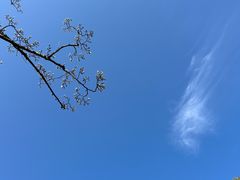 -贵州省植物园