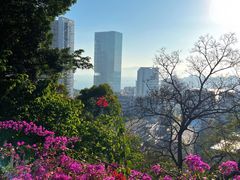 -鸿山公园