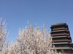 -西安汉城湖景区