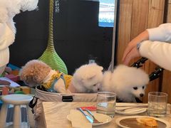 -the rug 飞毯 (朝阳公园店)