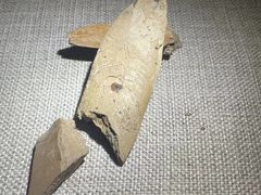 -王府井古人类文化遗址博物馆