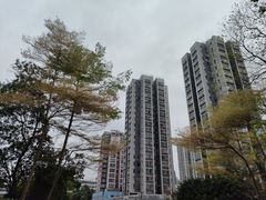 -大荣华酒楼(元朗老店)