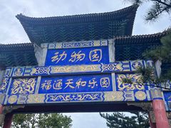 -西霞口神雕山野生动物世界