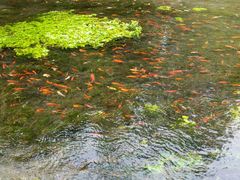 -水磨沟公园