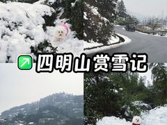 -四明山国家森林公园
