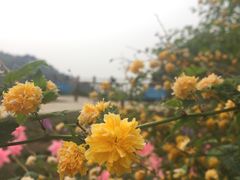 -云峰山自然风景区