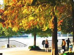 -运河游船(武林门码头)