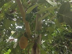 -南通洲际绿博园