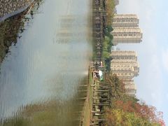 iphone_upload_pic-白塘生态植物园