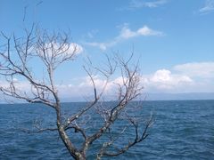 -抚仙湖禄充风景区