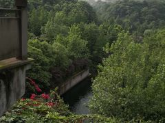 -重庆彩云湖湿地公园