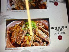 -友乐居羊蝎子(西直门店)