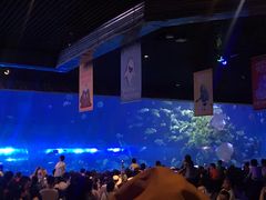 -华夏文旅海洋公园