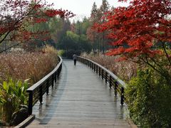 -长广溪湿地公园